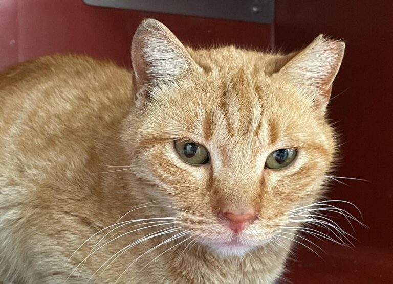 multimedia-foto82342-29-1