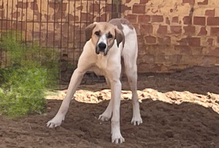 multimedia-foto82343-899-1