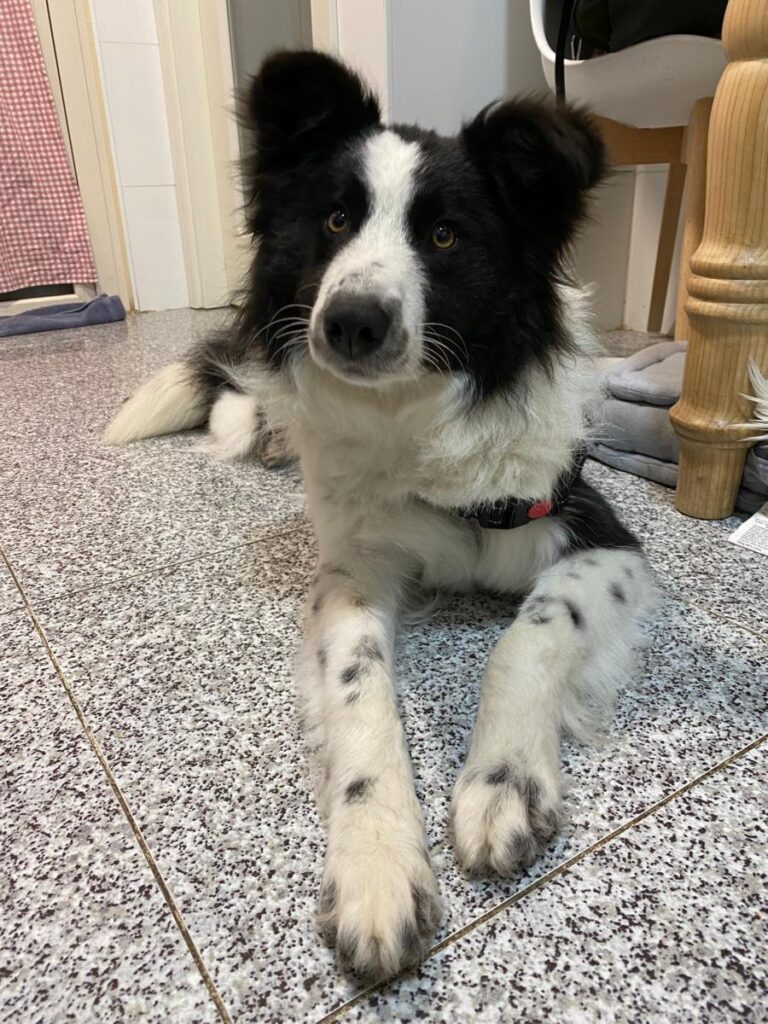 multimedia-foto82347-974-1