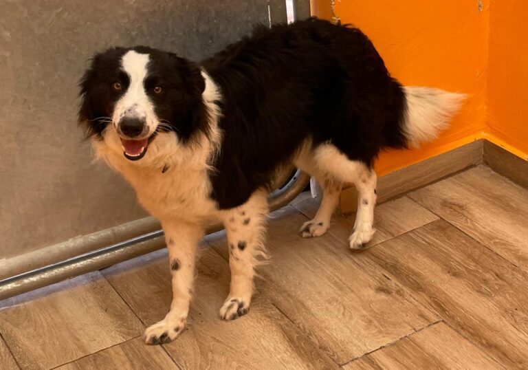 multimedia-foto82348-974-1