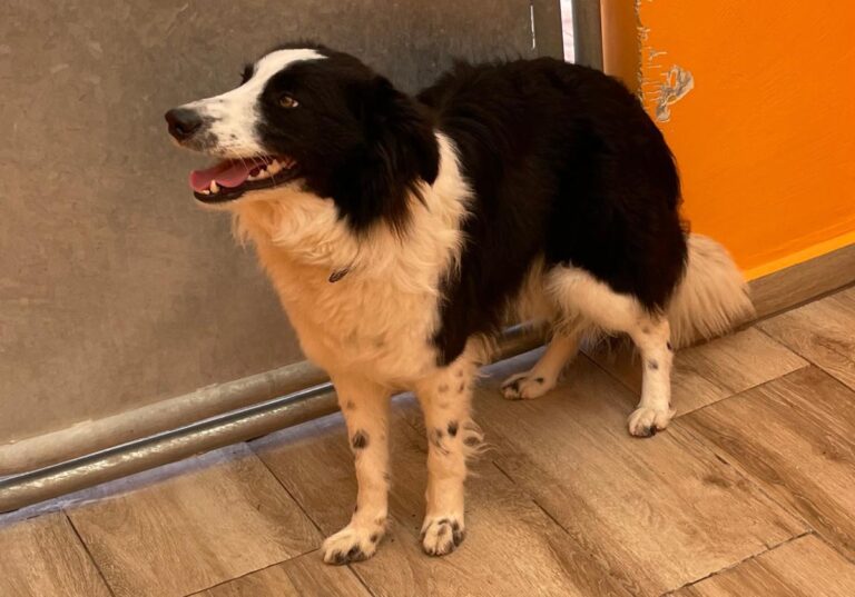 multimedia-foto82349-974-1