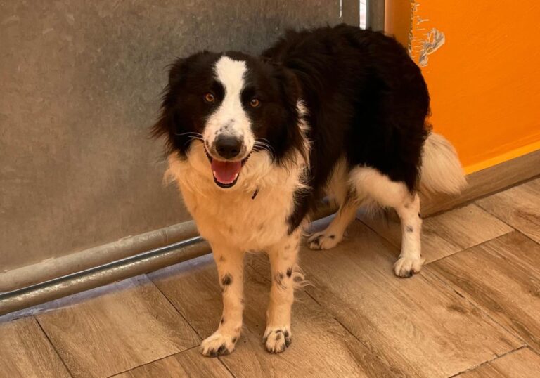 multimedia-foto82350-974-1