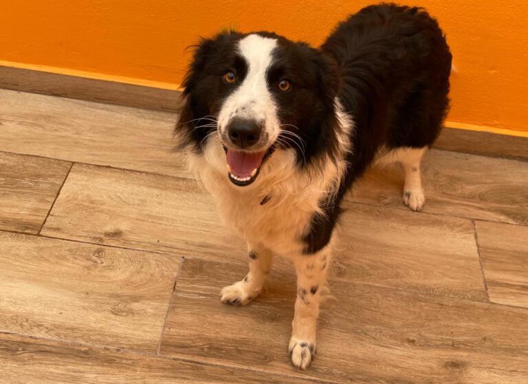 multimedia-foto82351-975-1