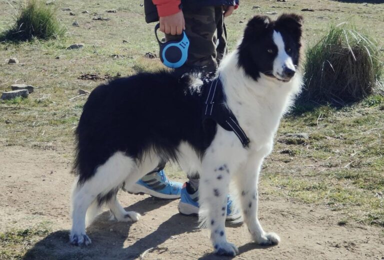 multimedia-foto82353-975-1