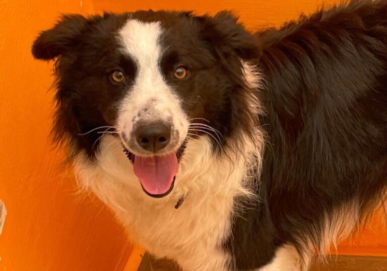 multimedia-foto82354-975-1