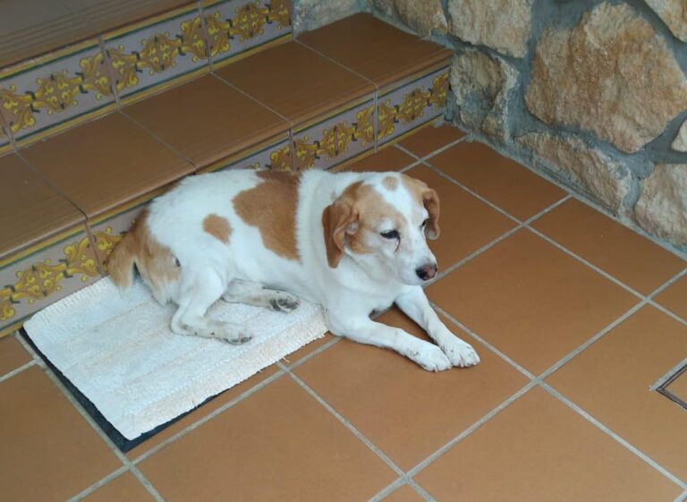 multimedia-foto82367-940-1