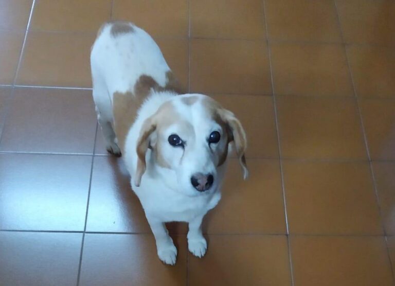 multimedia-foto82368-940-1