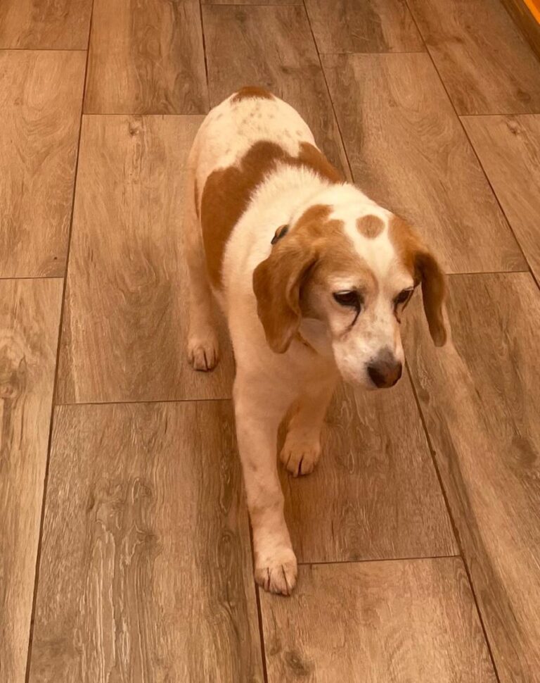 multimedia-foto82369-940-1