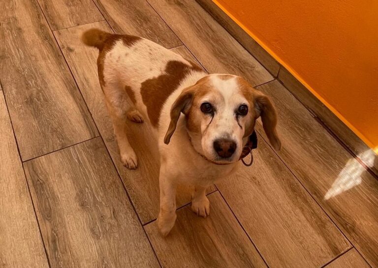 multimedia-foto82370-940-1