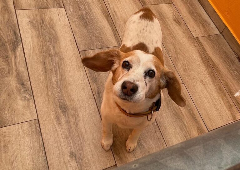 multimedia-foto82371-941-1