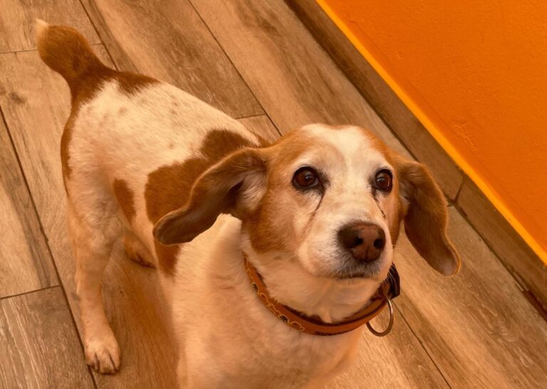 multimedia-foto82372-941-1