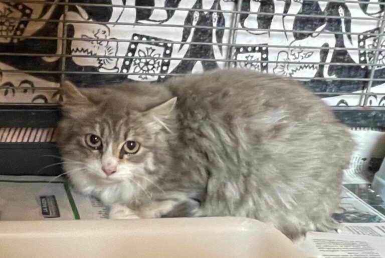 multimedia-foto82391-818-1