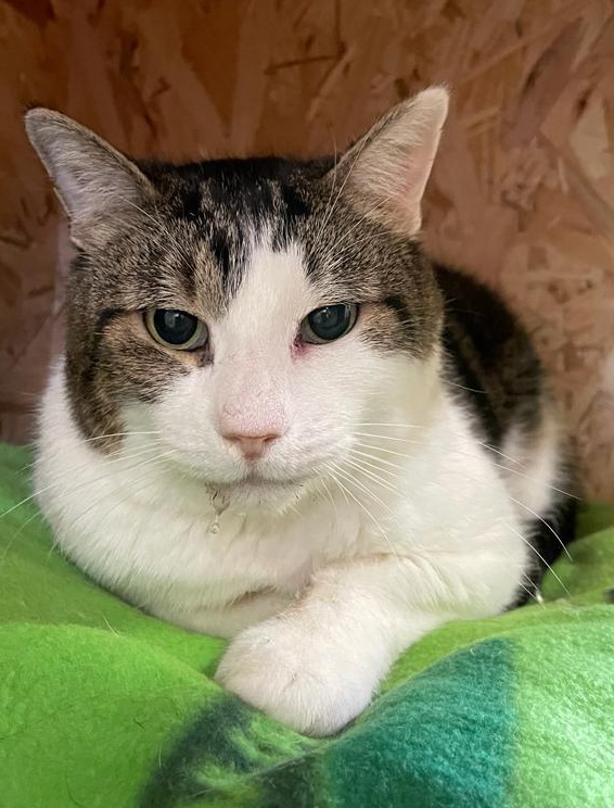 multimedia-foto82413-199-1