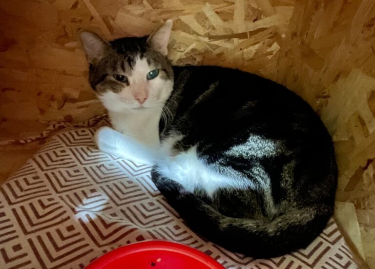 multimedia-foto82415-199-1