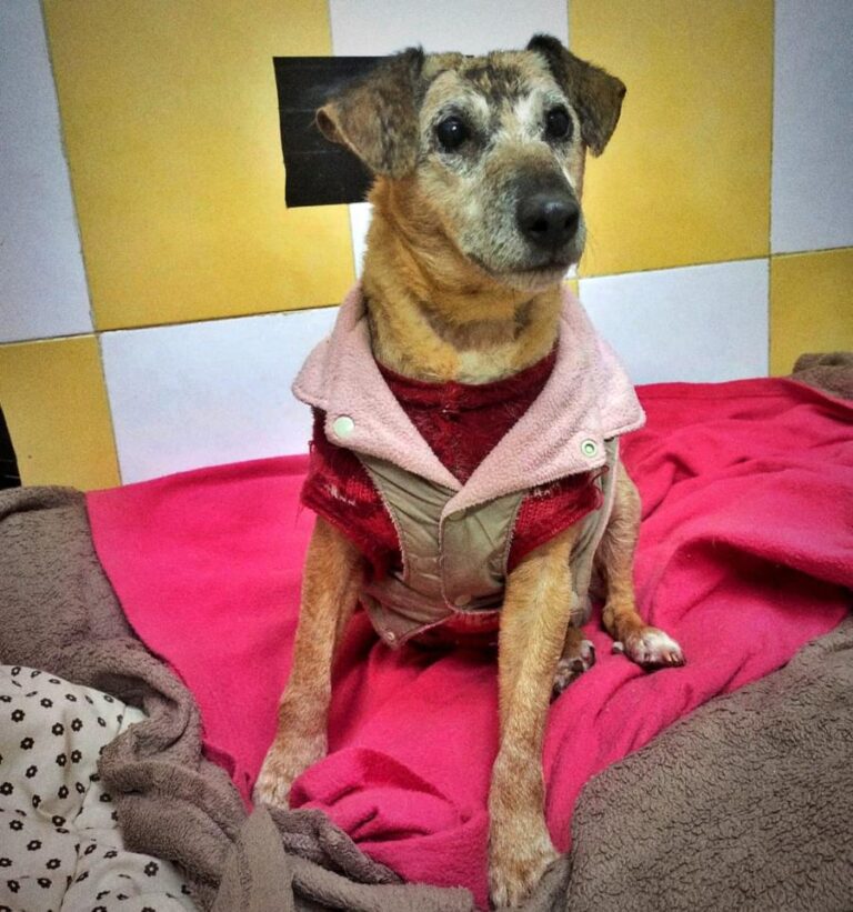 multimedia-foto82426-771-1