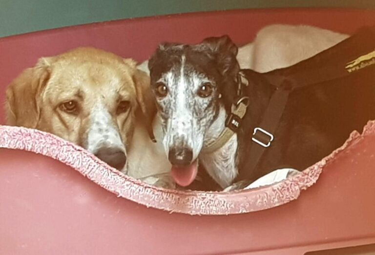 multimedia-foto82427-881-1