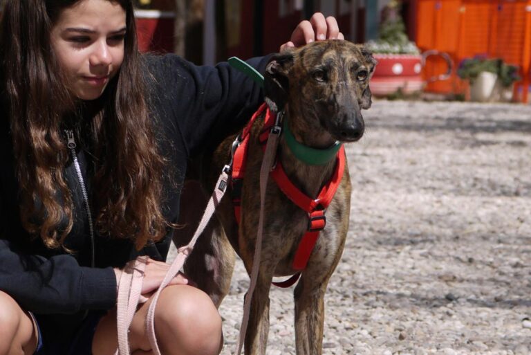 multimedia-foto82431-59-1