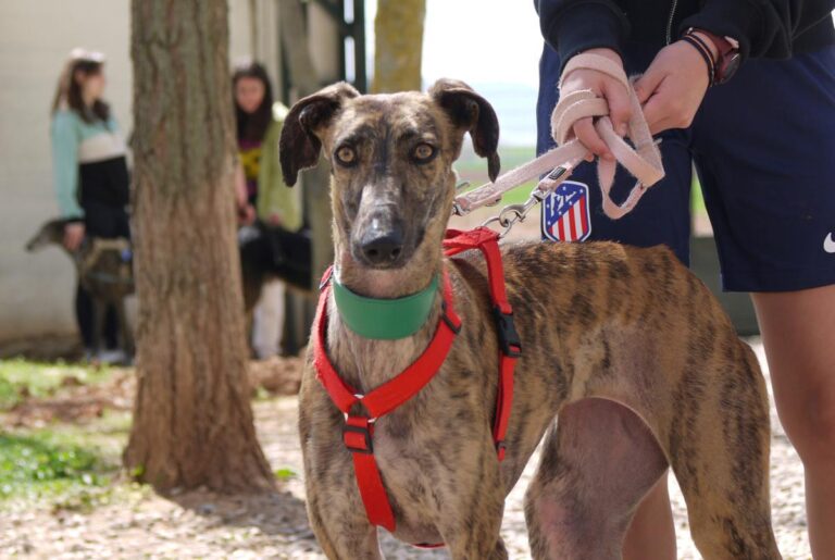 multimedia-foto82435-60-1