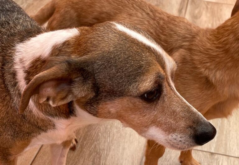 multimedia-foto82491-237-1