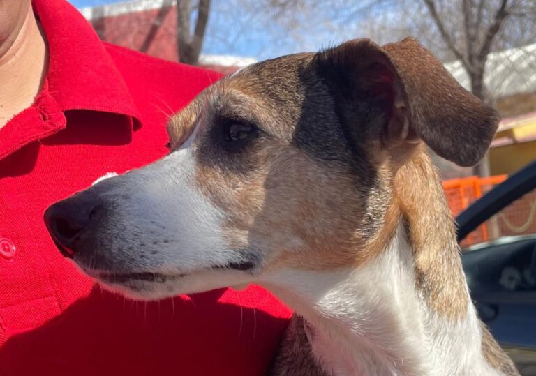 multimedia-foto82493-238-1