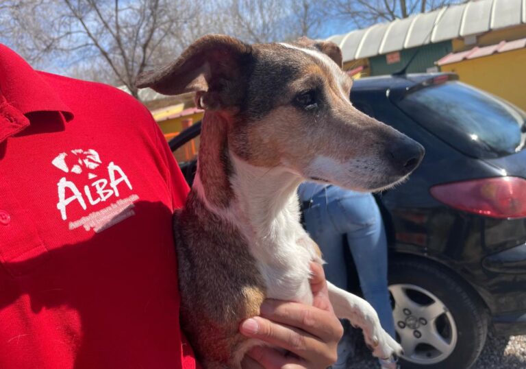 multimedia-foto82495-238-1