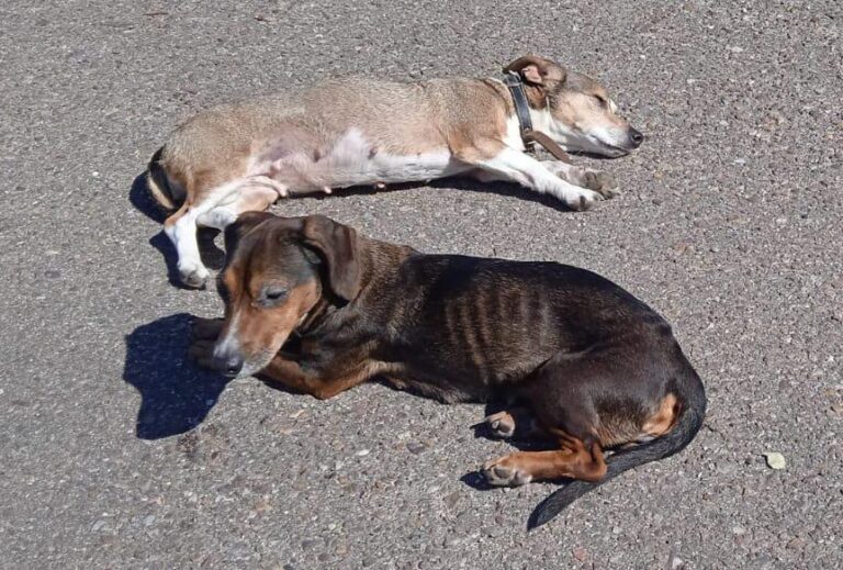 multimedia-foto82498-239-1