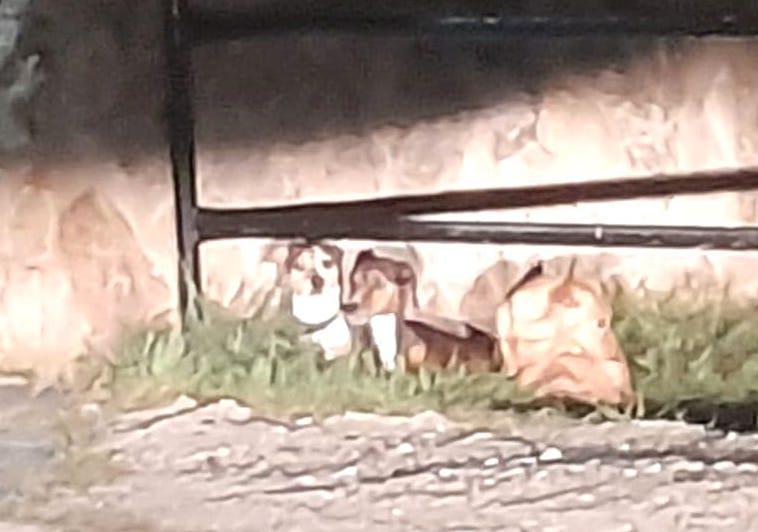 multimedia-foto82501-390-1