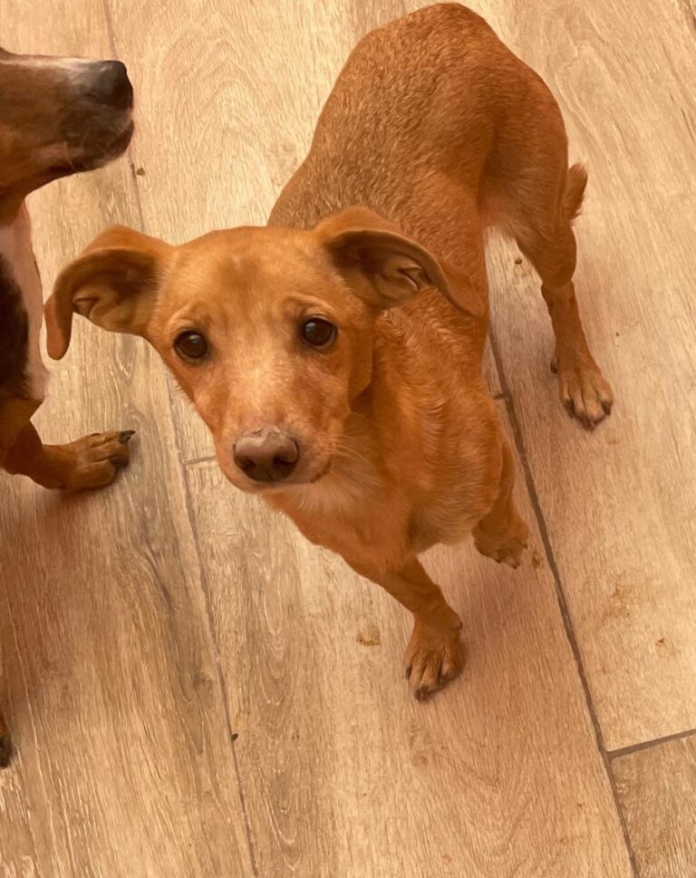 multimedia-foto82504-390-1