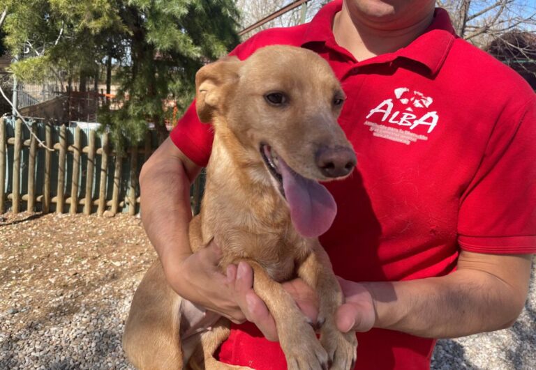 multimedia-foto82505-390-1