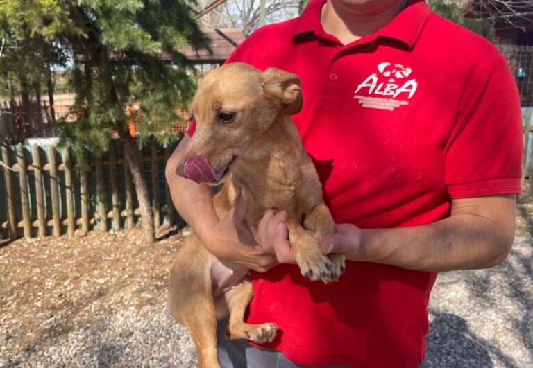 multimedia-foto82506-391-1