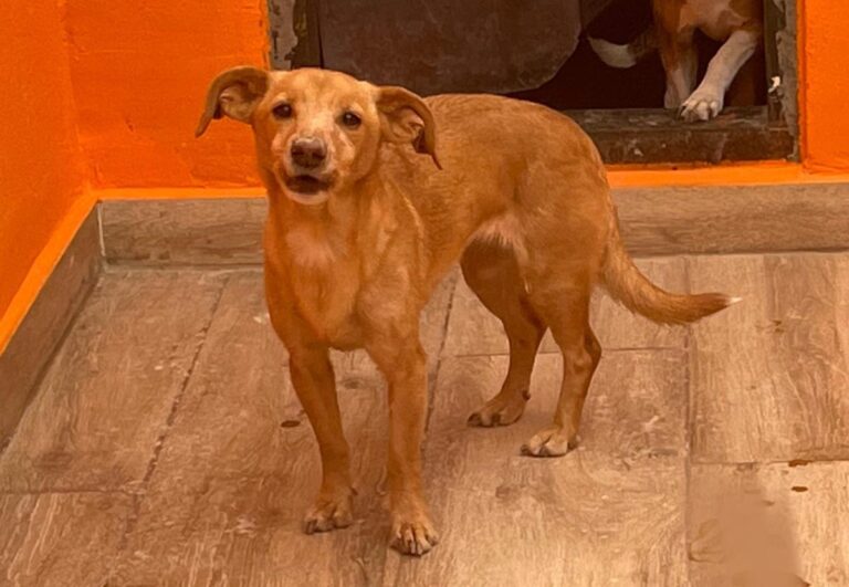 multimedia-foto82507-391-1