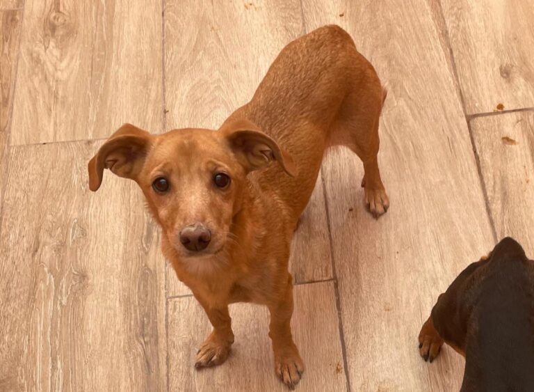 multimedia-foto82508-420-1