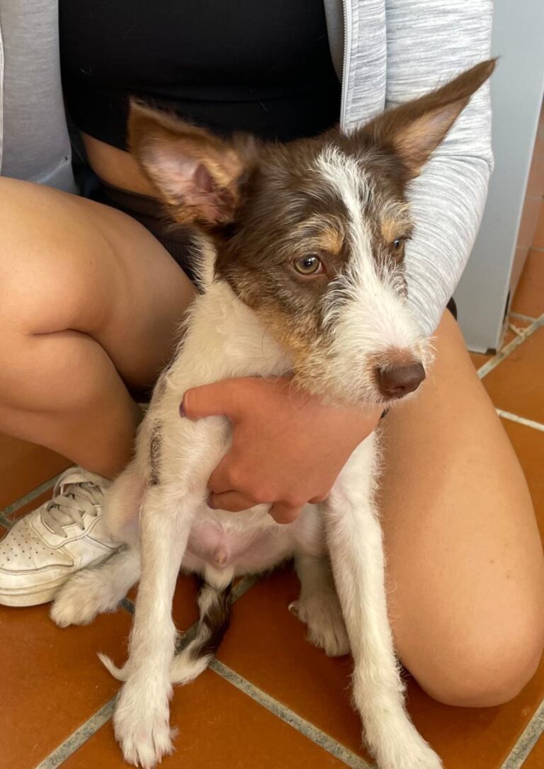 multimedia-foto82519-21-1