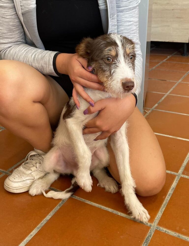 multimedia-foto82520-21-1