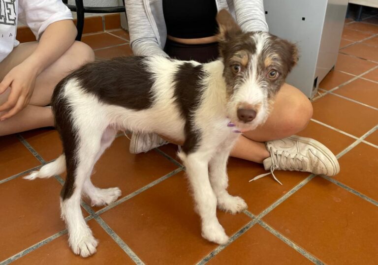 multimedia-foto82521-21-1