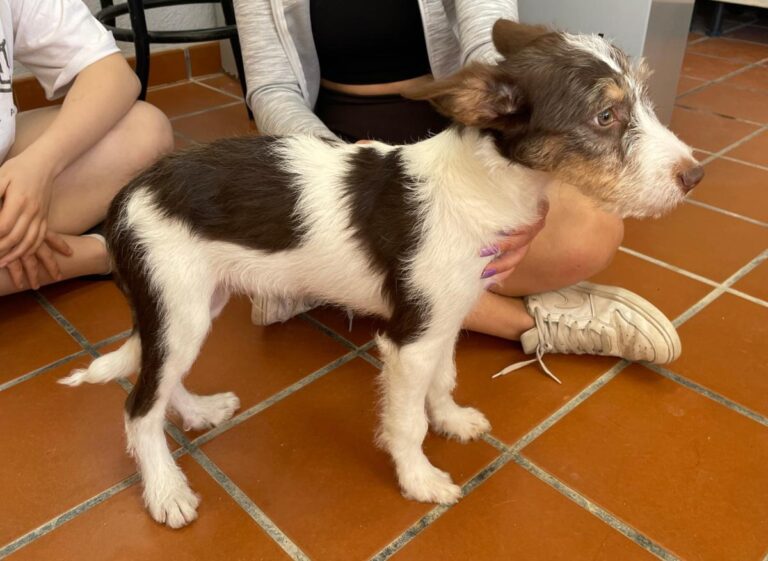 multimedia-foto82522-21-1