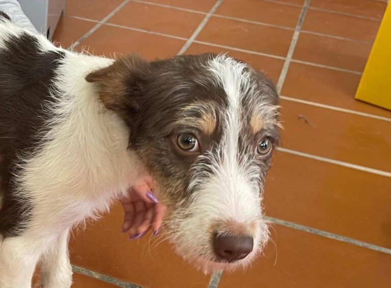 multimedia-foto82524-22-1