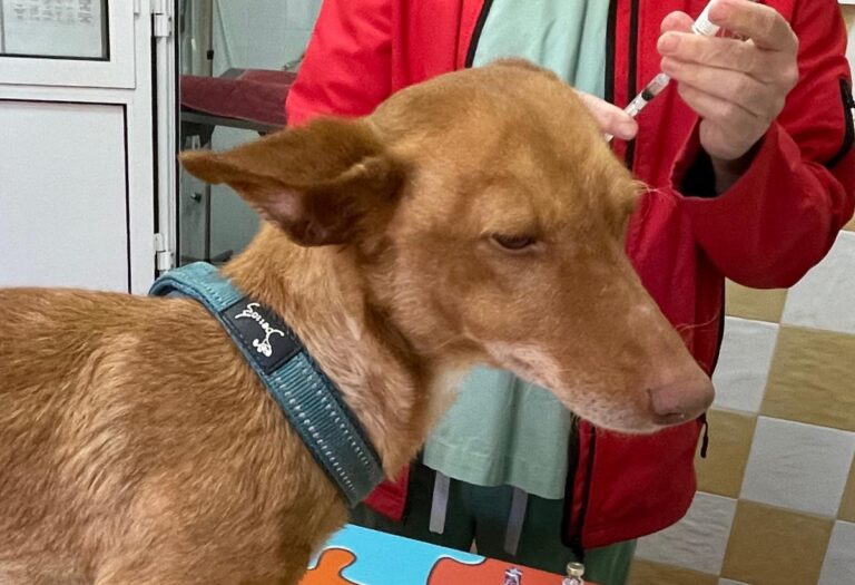 multimedia-foto82538-438-1