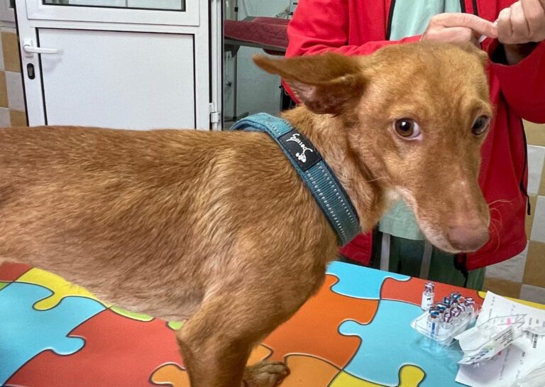 multimedia-foto82540-456-1