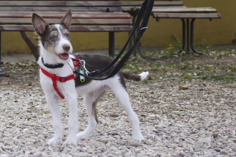 multimedia-foto82546-480-1