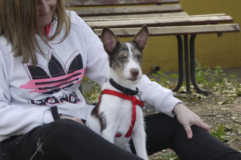 multimedia-foto82548-480-1