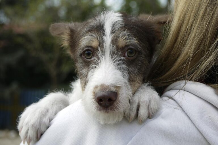 multimedia-foto82549-480-1