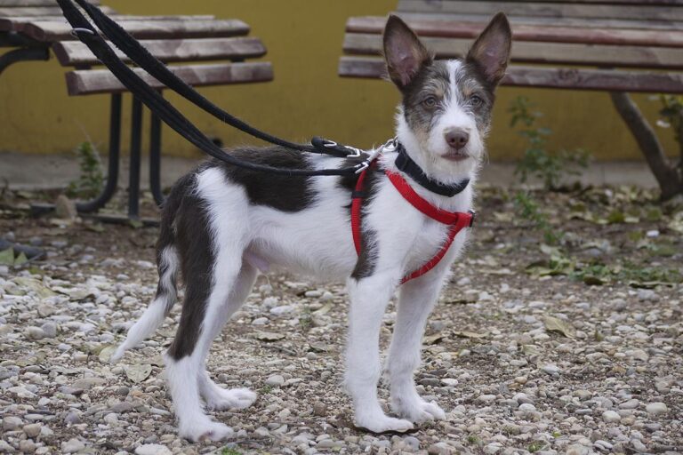 multimedia-foto82551-480-1