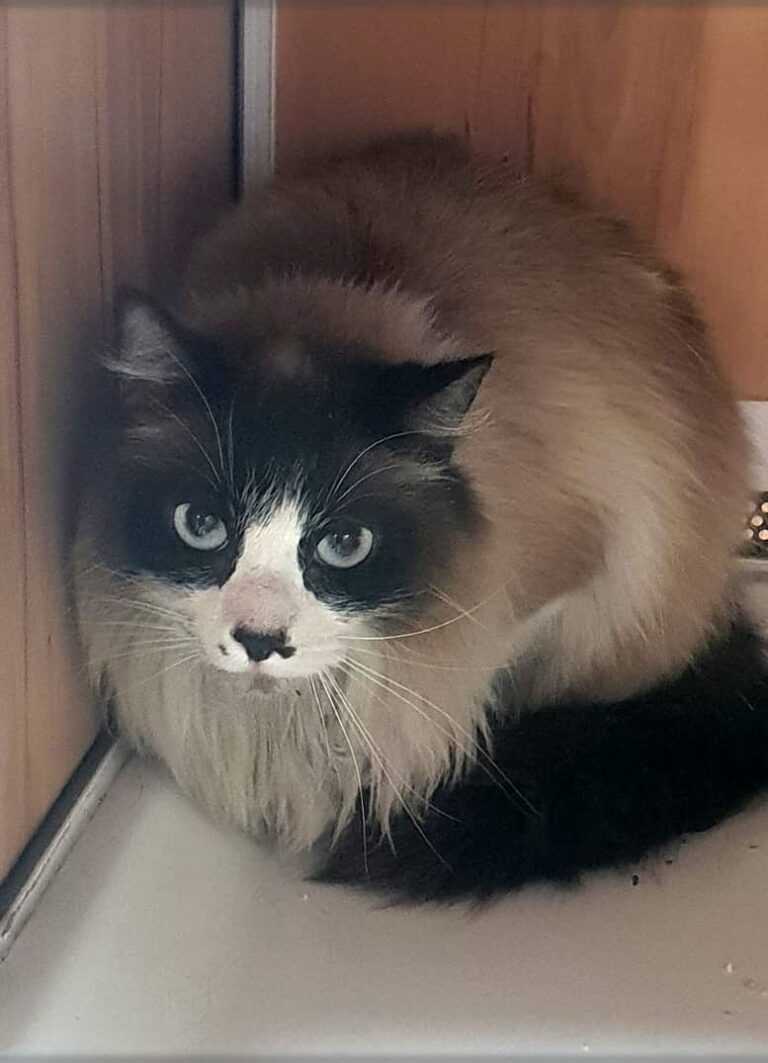 multimedia-foto82566-319-1