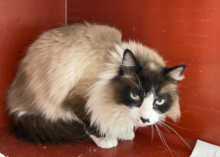 multimedia-foto82571-320-1