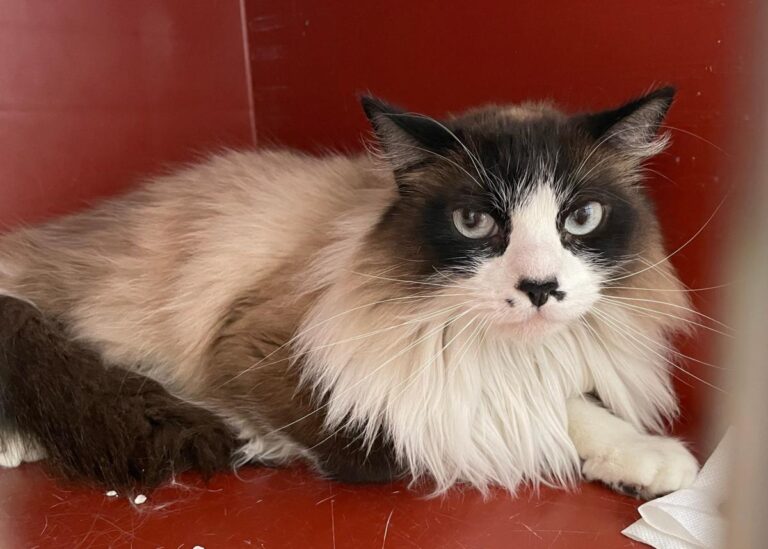 multimedia-foto82572-320-1