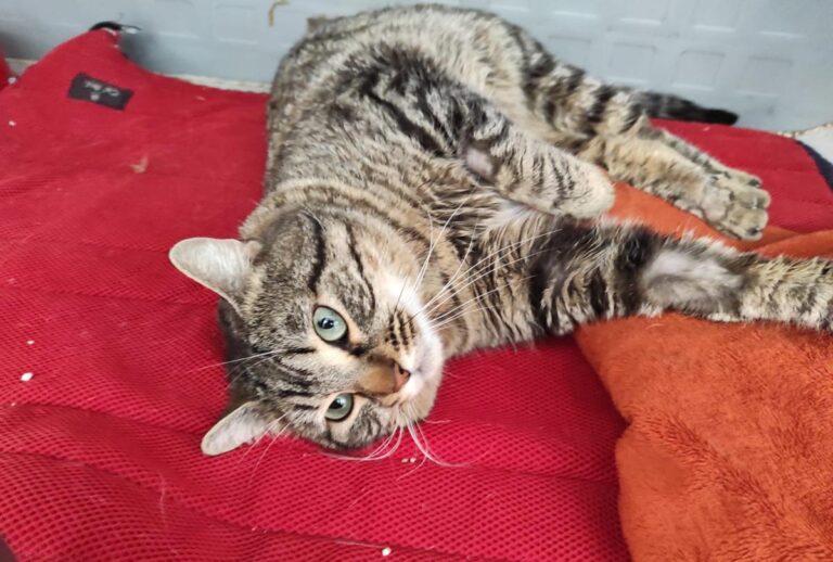 multimedia-foto82574-430-1