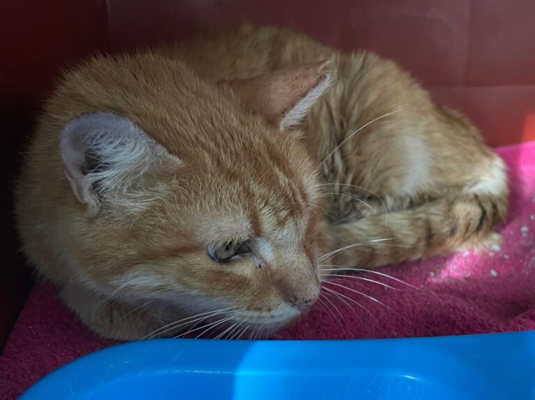 multimedia-foto82581-508-1