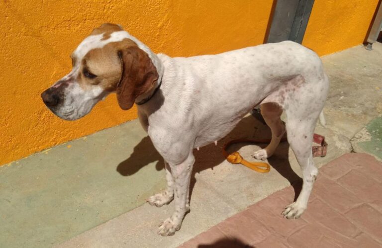 multimedia-foto82604-159-1