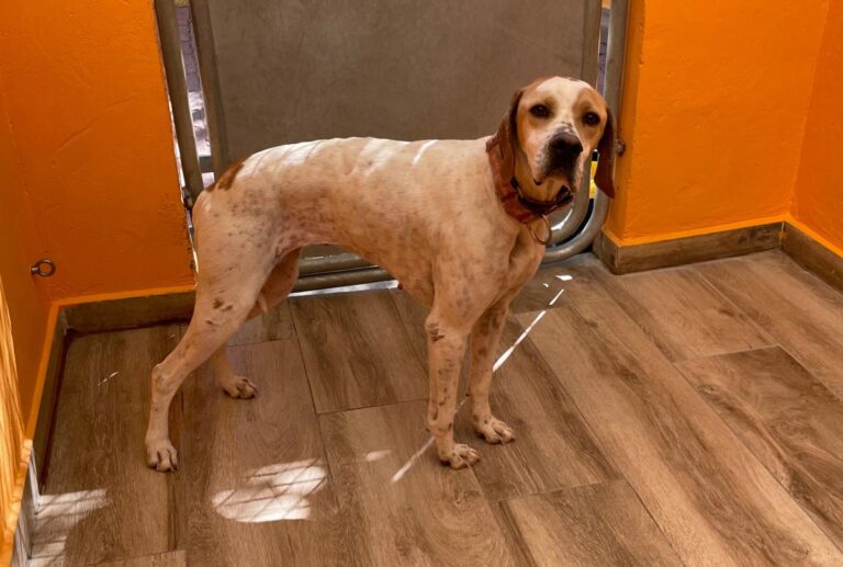 multimedia-foto82606-160-1